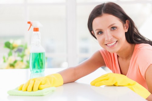 Professional cleaner tidying a modern living room in Maddington