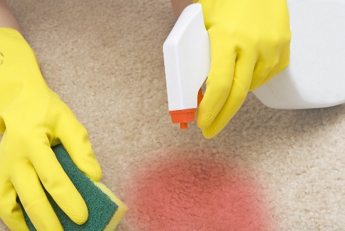 Professional cleaning services in Revesby