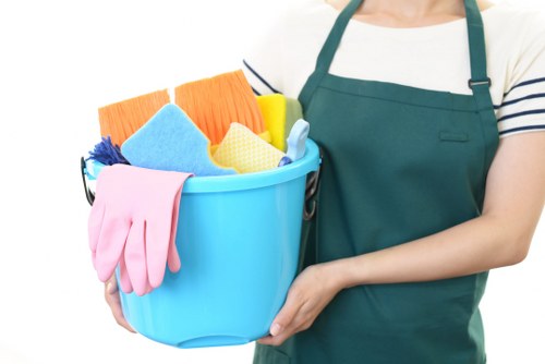 Professional cleaner tidying a living room