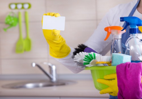 Professional cleaners at work in Maribyrnong home