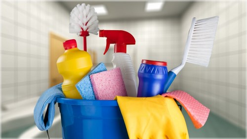 Professional Cleaning Team in Highgate Hill