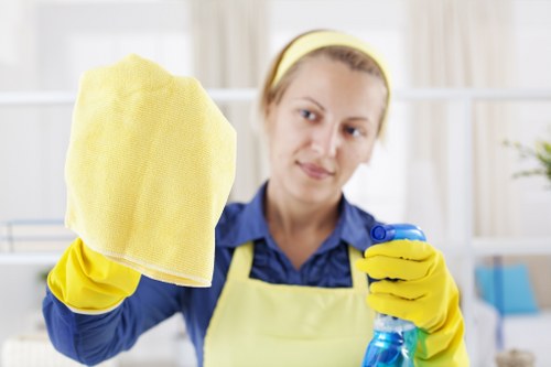 Professional cleaners at work in a Palmyra home