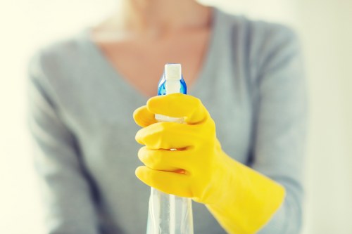 Professional cleaner at work in Lugarno home