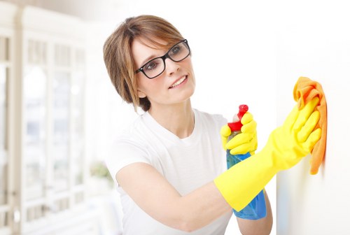 Professional cleaning team working on a house exterior