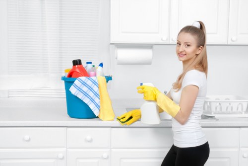 Professional house cleaners conducting a house clearance