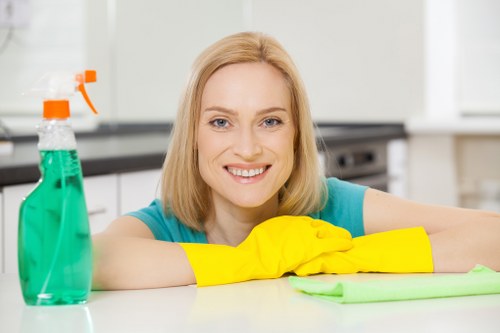 Eco-friendly cleaning practices in action