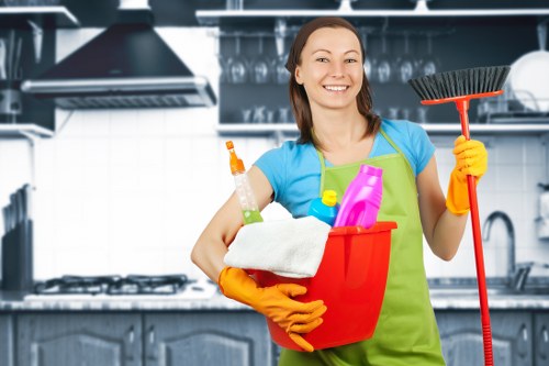 Professional cleaning of a modern kitchen oven