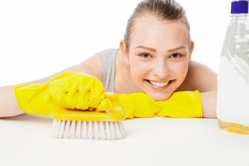 Team of cleaners organizing and clearing a home