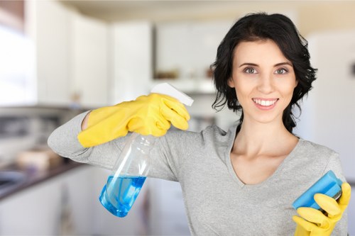 Professional window cleaner assessing window condition