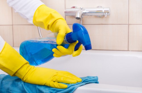 Professional cleaners working in a Bull Creek home