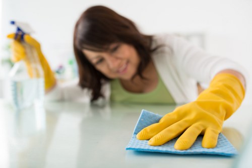 Professional cleaning team removing dust