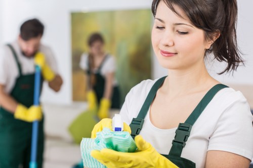 Eco-friendly cleaning supplies used in end of tenancy cleaning