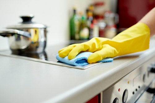 Eco-friendly cleaning products used by Fortitude Valley cleaners