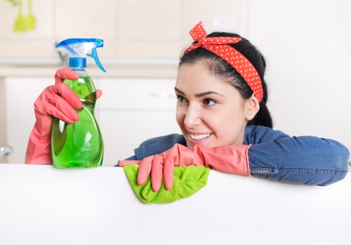 Eco-friendly cleaning products and methods