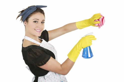 Eco-friendly cleaning products being used