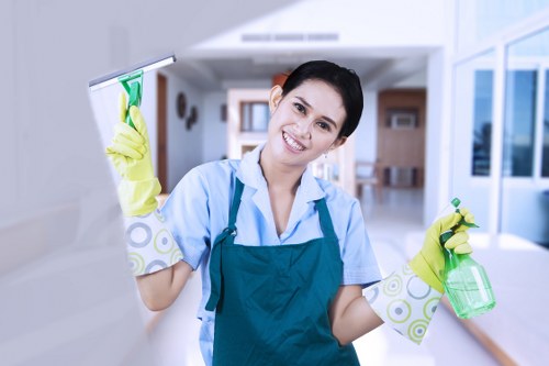 Choosing the right cleaner in Lugarno