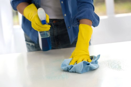 Professional cleaner addressing upholstery stains