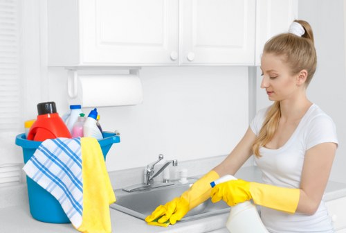 Eco-friendly cleaning products used by Innaloo cleaners