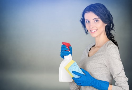 Choosing the right cleaning service in Ultimo