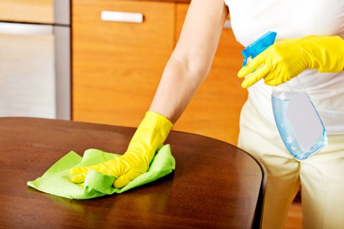 Top cleaning companies in Fortitude Valley