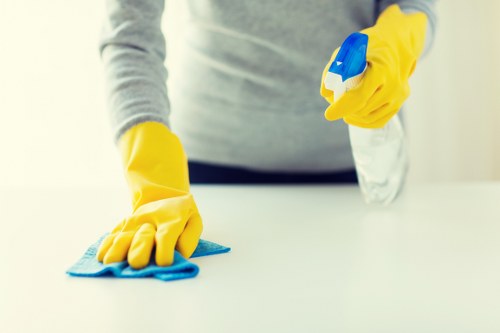 House cleaners performing deep cleaning tasks