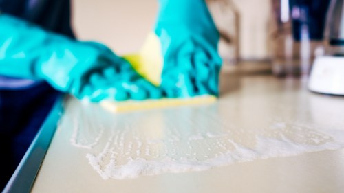 Eco-friendly cleaning products used by house cleaners